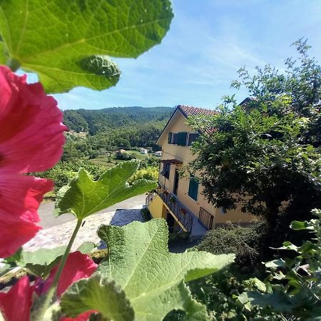 La Valle Fiorita Soviore Exteriör bild