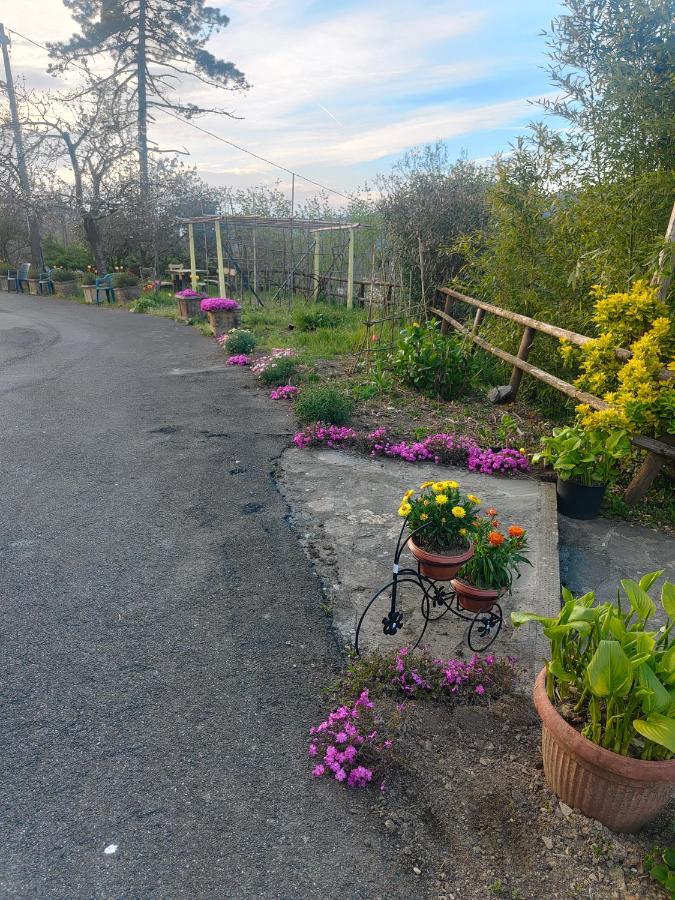 La Valle Fiorita Soviore Exteriör bild