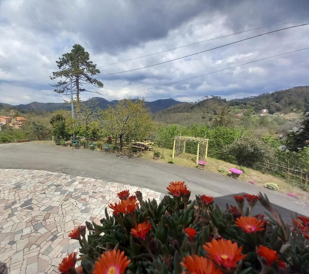 La Valle Fiorita Soviore Exteriör bild