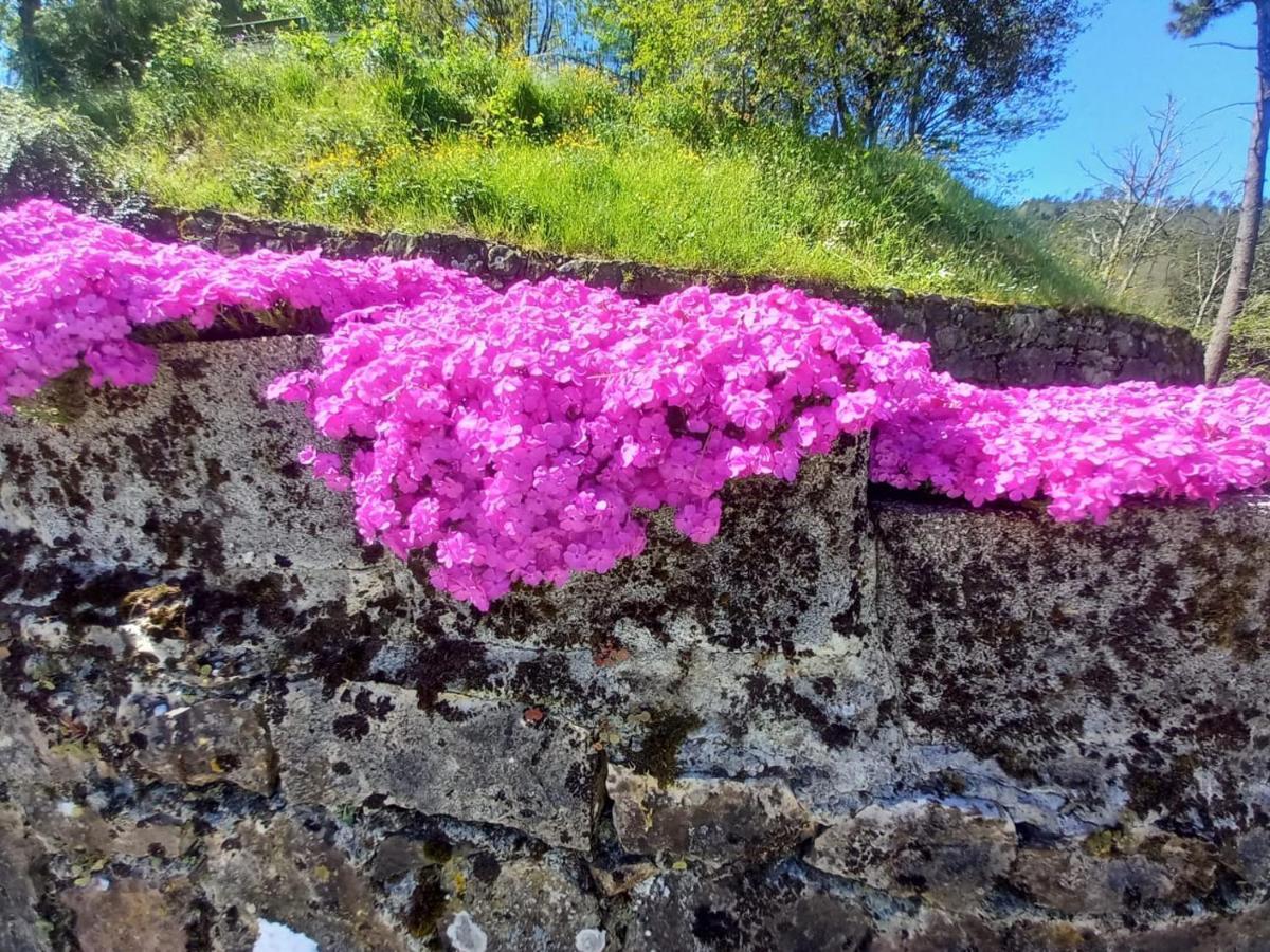 La Valle Fiorita Soviore Exteriör bild