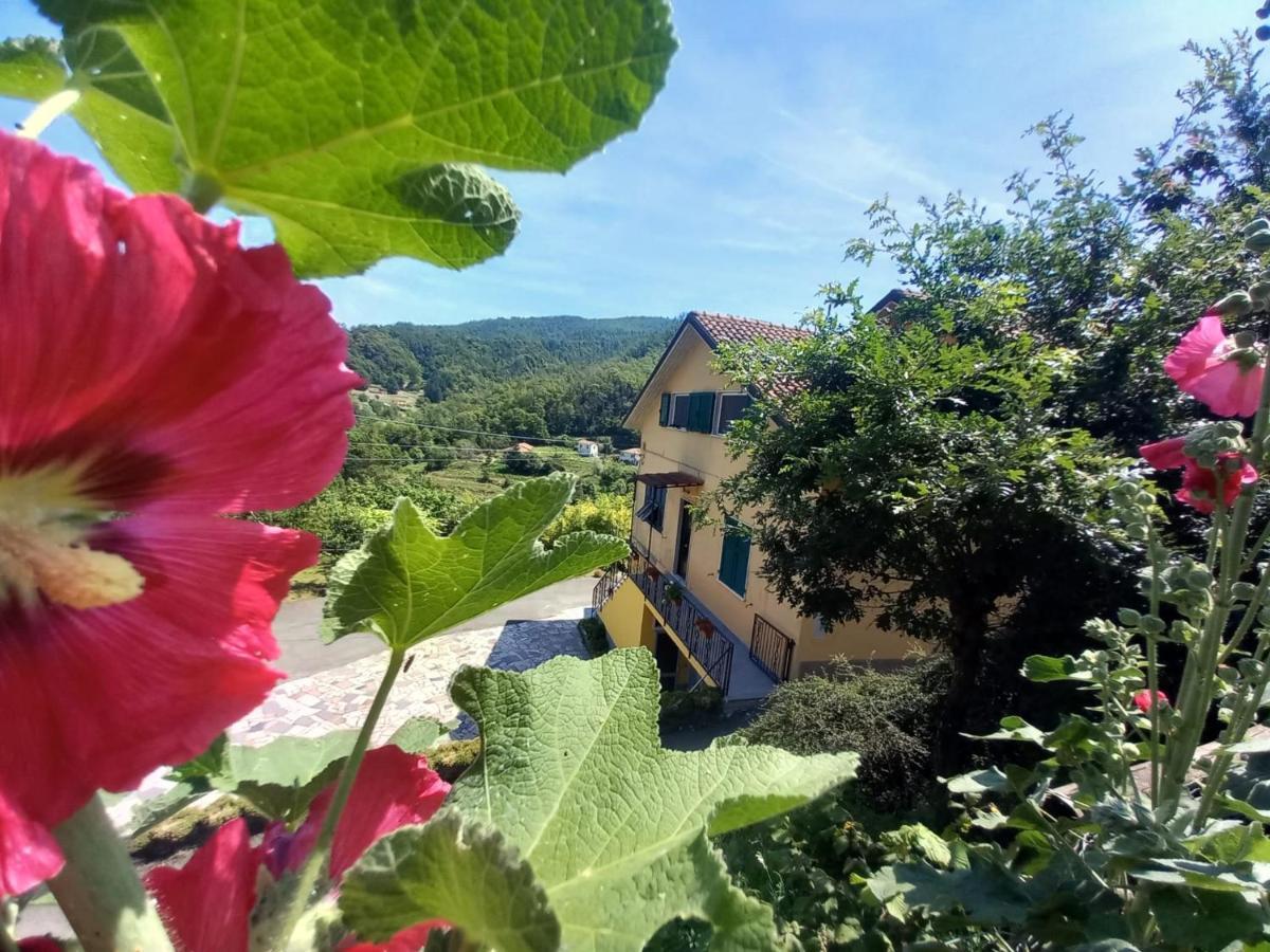 La Valle Fiorita Soviore Exteriör bild