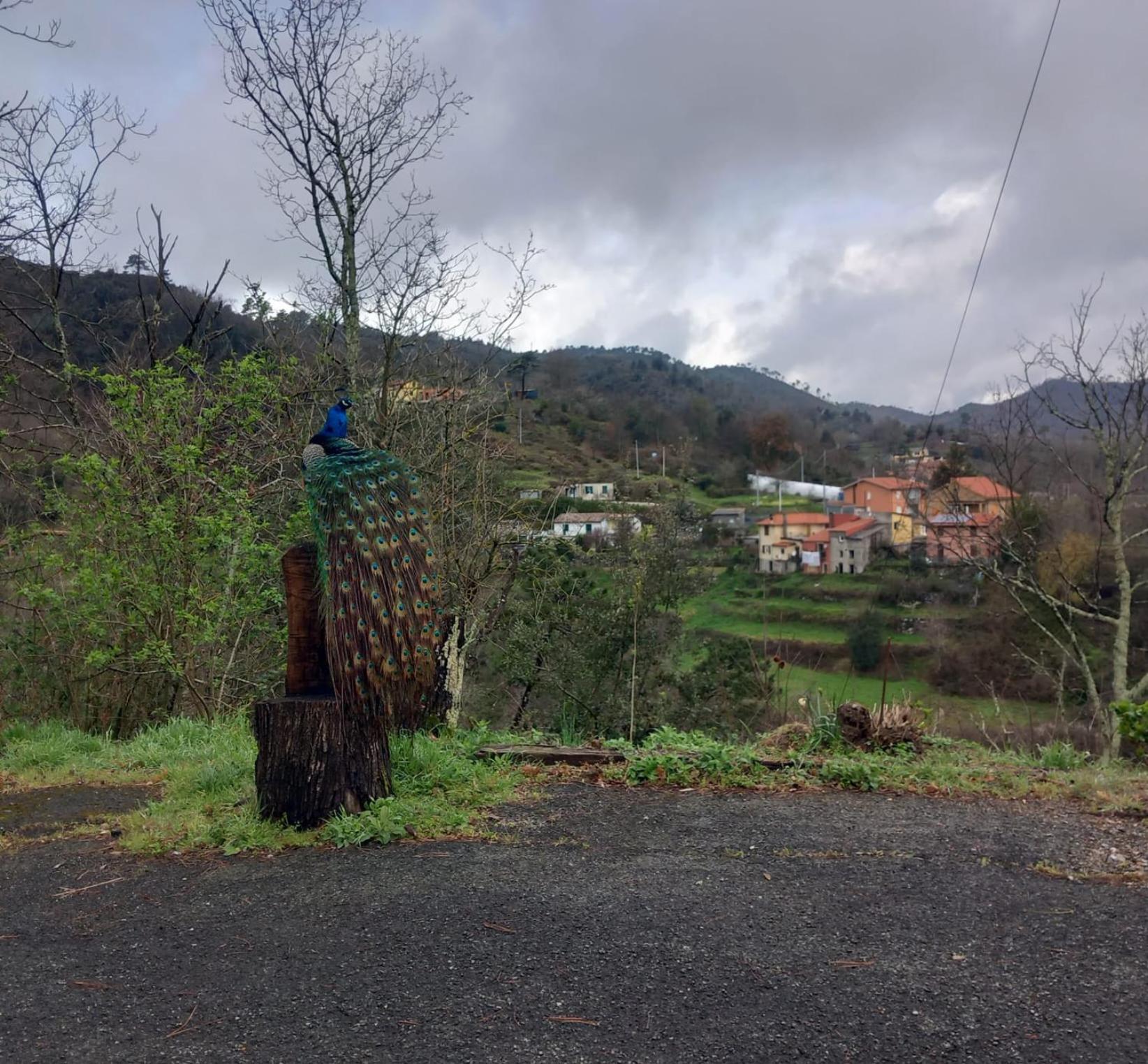 La Valle Fiorita Soviore Exteriör bild