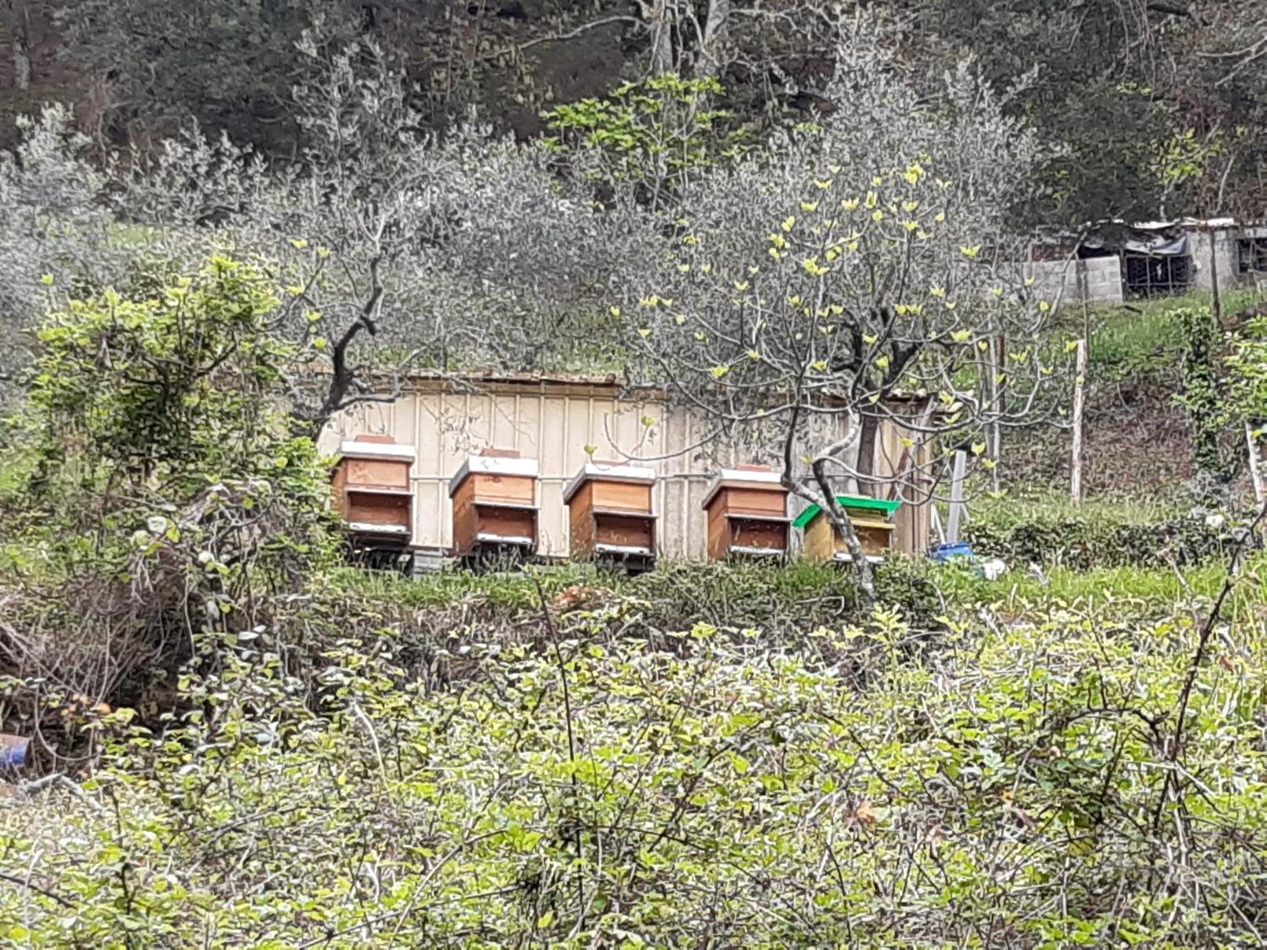 La Valle Fiorita Soviore Exteriör bild